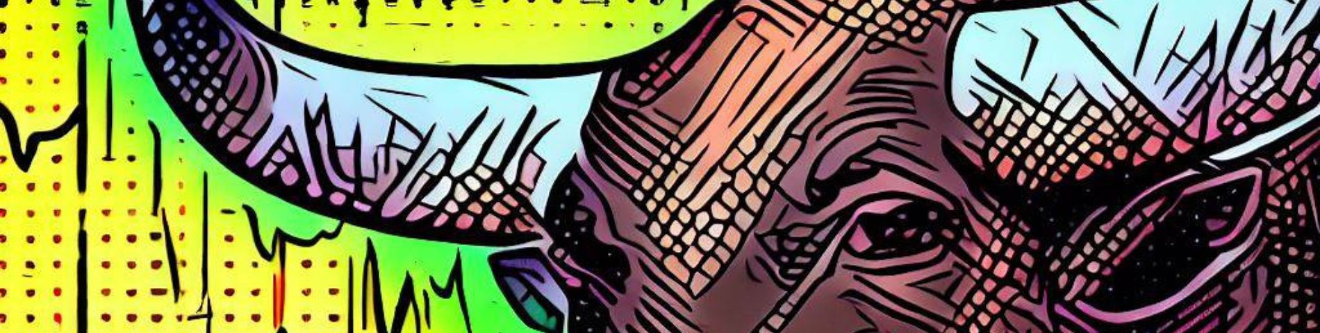 proper-funding-bull-run-handshake-diadem-capital-blog